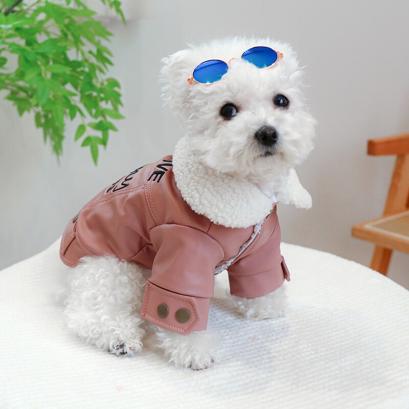 Pet Circle Šuns Kačių Drabužiai Storas Storas Paminkštintas Kailis Good Son Oda Naminių gyvūnėlių drabužių kabykla