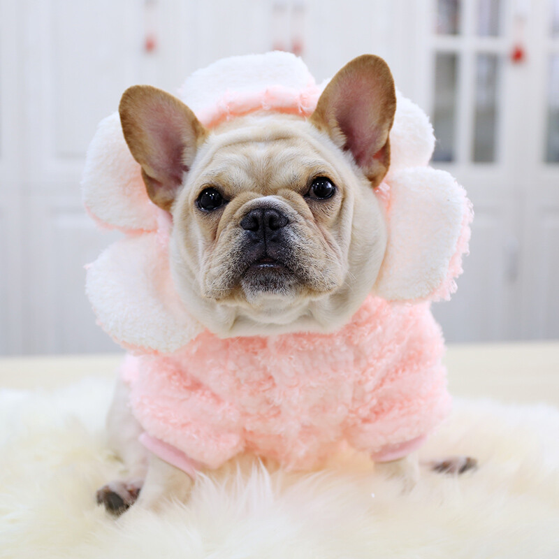 PETCIRCLE šunų drabužiai gėlių kepurė Rožinis šiltas paltas prancūzų buldogui korgi mopso šuniui mažam ir vidutiniam naminiam šuniui su gobtuvu
