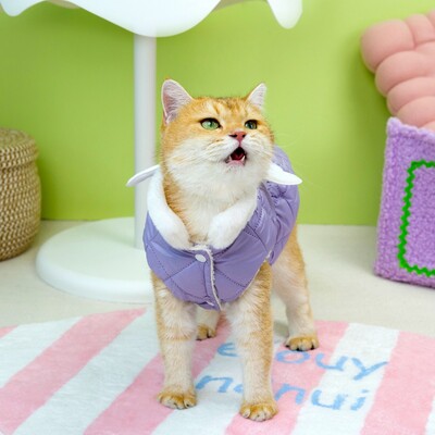 Drabužiai augintiniams Rudens/Žiema Nauji Maži Šunys Šunų Drabužiai Meškiuko Katė Mieli Drabužiai Angelo Sparnai Medvilniniai Sijono Drabužiai