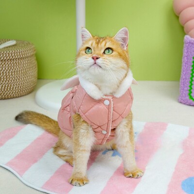 Drabužiai augintiniams Rudens/Žiema Nauji Maži Šunys Šunų Drabužiai Meškiuko Katė Mieli Drabužiai Angelo Sparnai Medvilniniai Sijono Drabužiai