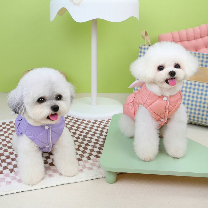 Drabužiai augintiniams Rudens/Žiema Nauji Maži Šunys Šunų Drabužiai Meškiuko Katė Mieli Drabužiai Angelo Sparnai Medvilniniai Sijono Drabužiai