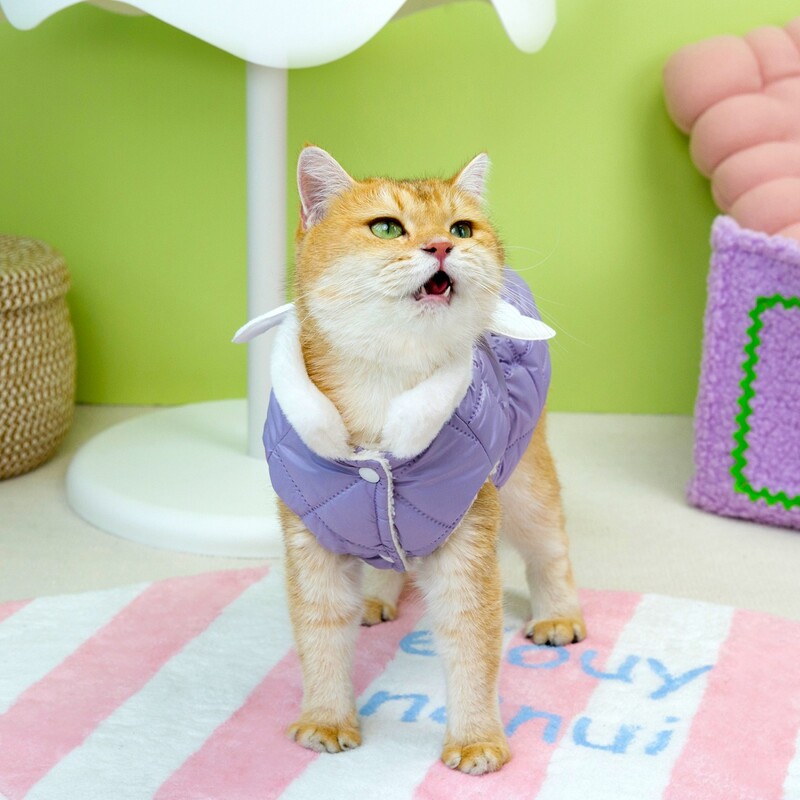 Drabužiai augintiniams Rudens/Žiema Nauji Maži Šunys Šunų Drabužiai Meškiuko Katė Mieli Drabužiai Angelo Sparnai Medvilniniai Sijono Drabužiai