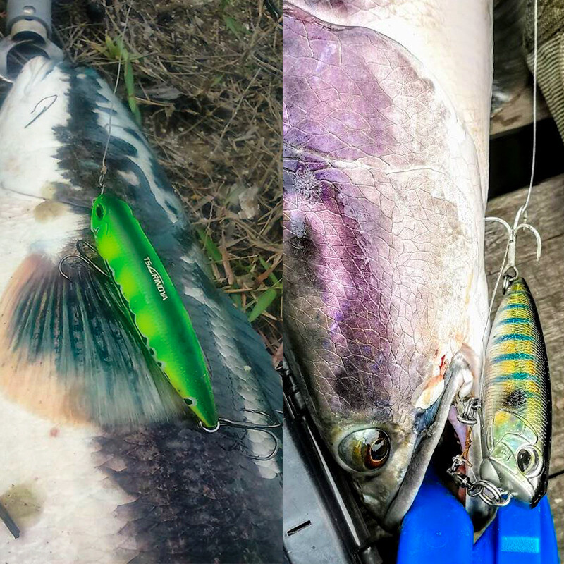 TSURINOYA Topwater plaukiojantis pieštukų vobleriai 110 mm 20,5 g DW58 Bass Lure Stickbait Snakehead Professional dirbtinis kietas masalas