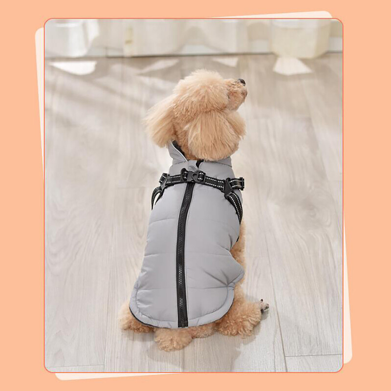 Rudens ir žiemos šilta britiška medvilnė, šilta striukė Vienspalviai drabužiai augintiniams Medvilninė liemenė šunų drabužiai Drop Shipping talismanai