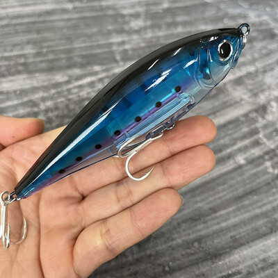 30 g 110 mm plaukiojantis pieštuko masalas, dirbtinis kietas masalas, skirtas žvejoti pakrantėje „Twitch“ sūraus upėtakio Isca Pesca voblerio žvejybos įranga