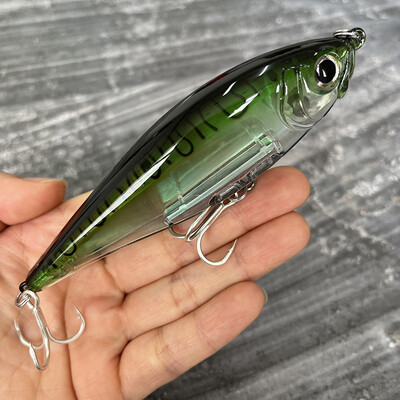 30 g 110 mm plaukiojantis pieštuko masalas, dirbtinis kietas masalas, skirtas žvejoti pakrantėje „Twitch“ sūraus upėtakio Isca Pesca voblerio žvejybos įranga