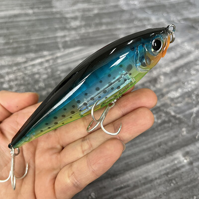 30 g 110 mm plaukiojantis pieštuko masalas, dirbtinis kietas masalas, skirtas žvejoti pakrantėje „Twitch“ sūraus upėtakio Isca Pesca voblerio žvejybos įranga