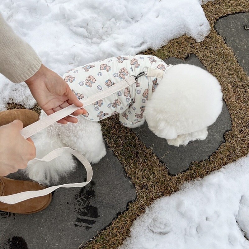 Topli puppy kaput Zimski zadebljali pamučni kaput Teddy Vest Punji kaput Bichon Frise Cardigan sa životinjskim printom Yorkshire Slatke jakne