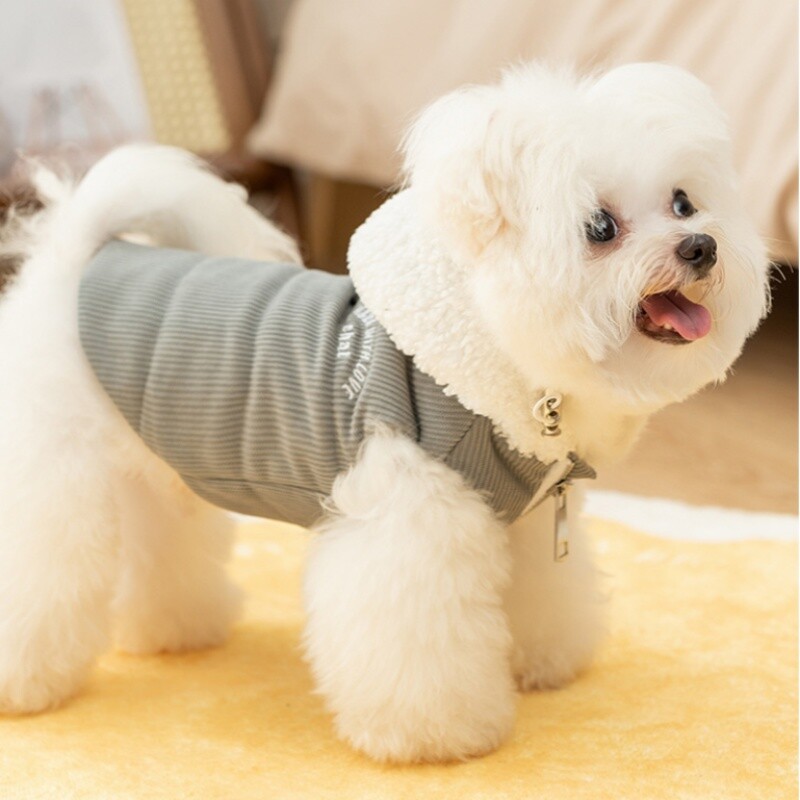 Šilti žieminiai drabužiai šuniui Sportinis stilius Šuo Striukė Paltas Raštas Siuvinėjimas Šuniuko liemenė Kailis Madingas Katės paltas Yorkie Pet Drabužiai