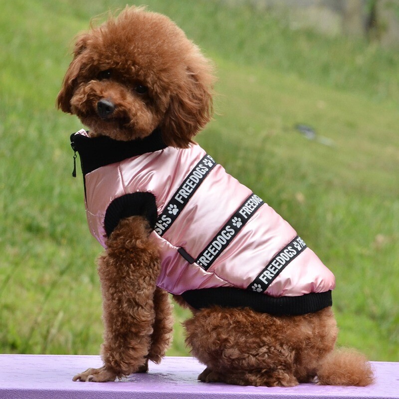 Šilti šunų drabužiai žieminiai stovintys antkakliai, vilnos viduje Bulldogo naminių gyvūnėlių liemenė šuniuko apranga Blizgi šuns striukė Neperpučiami drabužiai