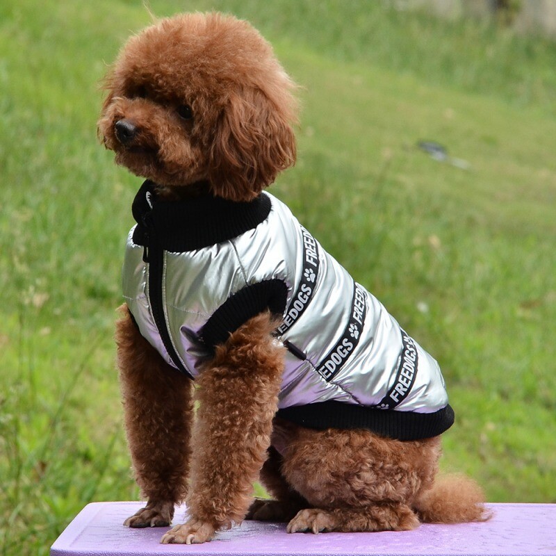 Šilti šunų drabužiai žieminiai stovintys antkakliai, vilnos viduje Bulldogo naminių gyvūnėlių liemenė šuniuko apranga Blizgi šuns striukė Neperpučiami drabužiai