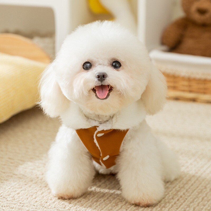 Drabužiai šuniui žieminiai pastorinti medvilniniai meškiuko plaukų apykaklė Miela vėjo liemenė be rankovių šuniuko vienspalviai marškinėliai su atviromis sagomis