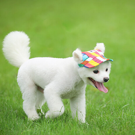 Naminių gyvūnėlių kepurė šunų kepurė Beisbolo kepurė Vasarinė drobė šunų kepurė mažam augintiniui Lauko aksesuarai Žygiai Sportas