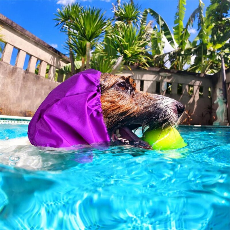 Dušo kepurė šunų vonios kepurė Vandeniui atspari naminių gyvūnėlių vonios kepurė su reguliuojama sagtimi, skirta šuns ausų dušo kepurė maudytis