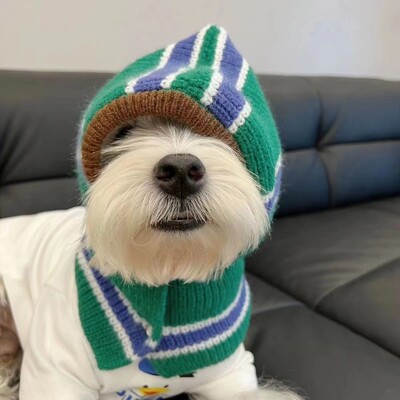Есен/Зима Шал с качулка за кучета Зимно топло наметало Плюшени мечета Шнауцер Малък вълнен нагръдник Шапки за кучета Аксесоари за кученца