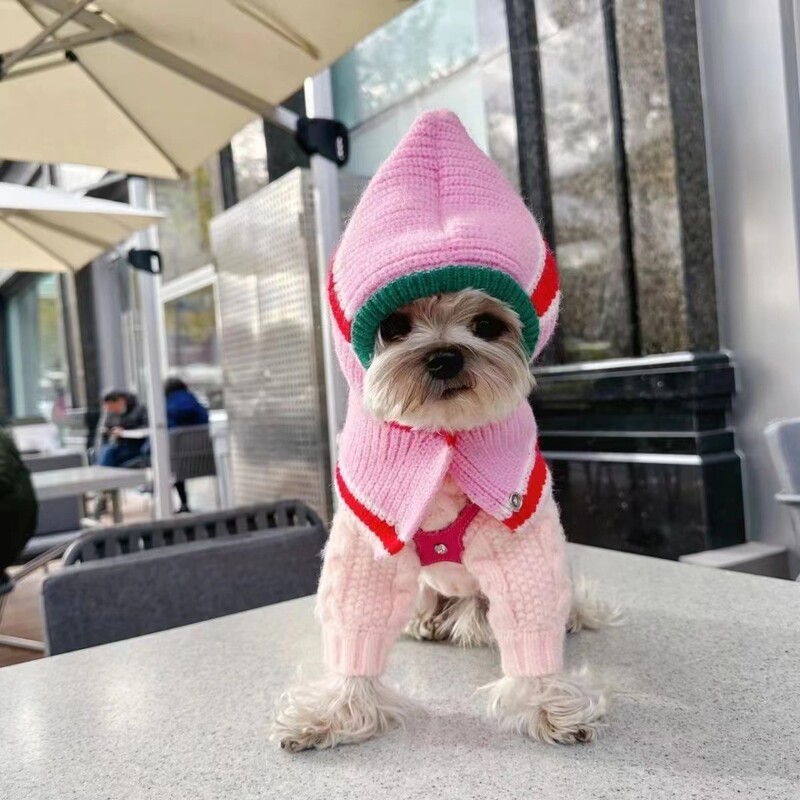 Toamnă/Iarnă Eșarfă cu glugă pentru câini Manta caldă de iarnă Ursuleți de pluș Schnauzer Pălării mici de lână pentru câini Accesorii pentru cățeluși