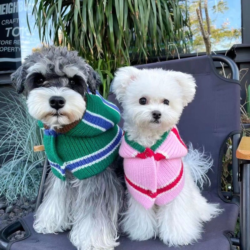 Toamnă/Iarnă Eșarfă cu glugă pentru câini Manta caldă de iarnă Ursuleți de pluș Schnauzer Pălării mici de lână pentru câini Accesorii pentru cățeluși