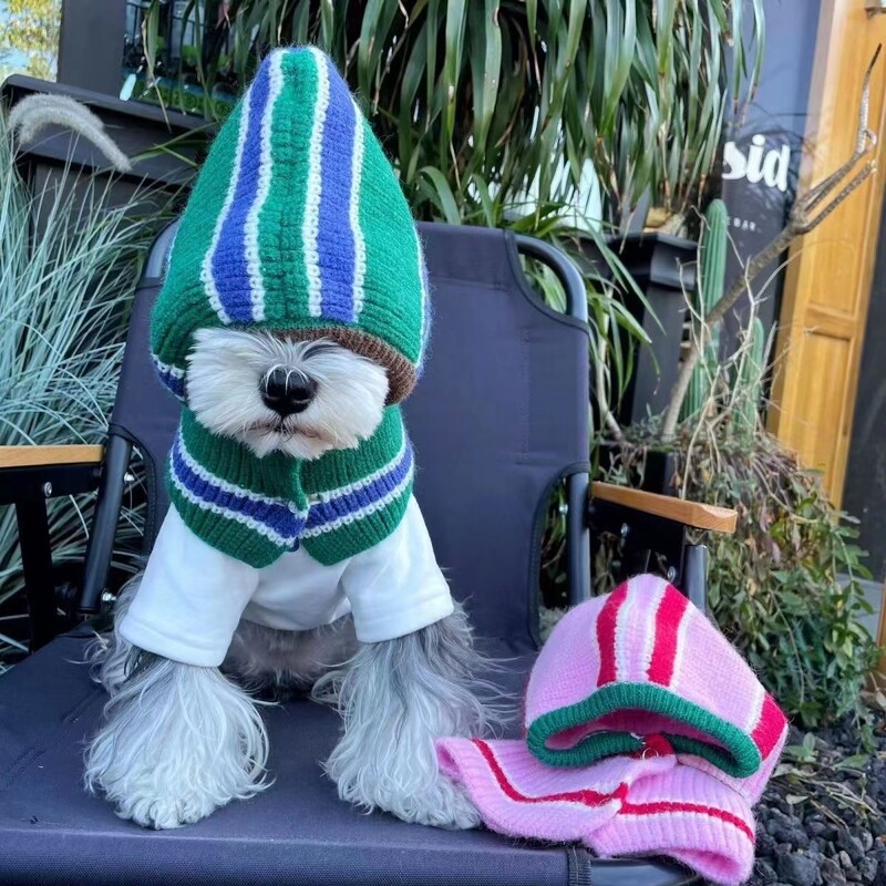 Toamnă/Iarnă Eșarfă cu glugă pentru câini Manta caldă de iarnă Ursuleți de pluș Schnauzer Pălării mici de lână pentru câini Accesorii pentru cățeluși