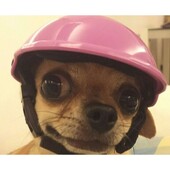 Reguliuojamas apsauginis dangtelis naminiams gyvūnėliams ABS šunų šalmai madingi juokingi naminių gyvūnėlių apsaugos dangteliai, skirti naminių gyvūnėlių dviračiams lauko apsaugos nuo saulės reikmenys