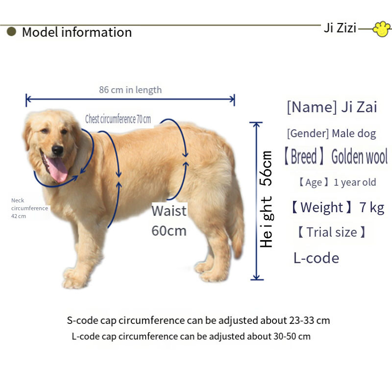 Šešir za bejzbolsku kapu za pse za putovanja, vanjska mreža za suncobran, prozračna sportska kapa za vanjske prilike s rupama za uši, podesiva mini kapa za kućne ljubimce