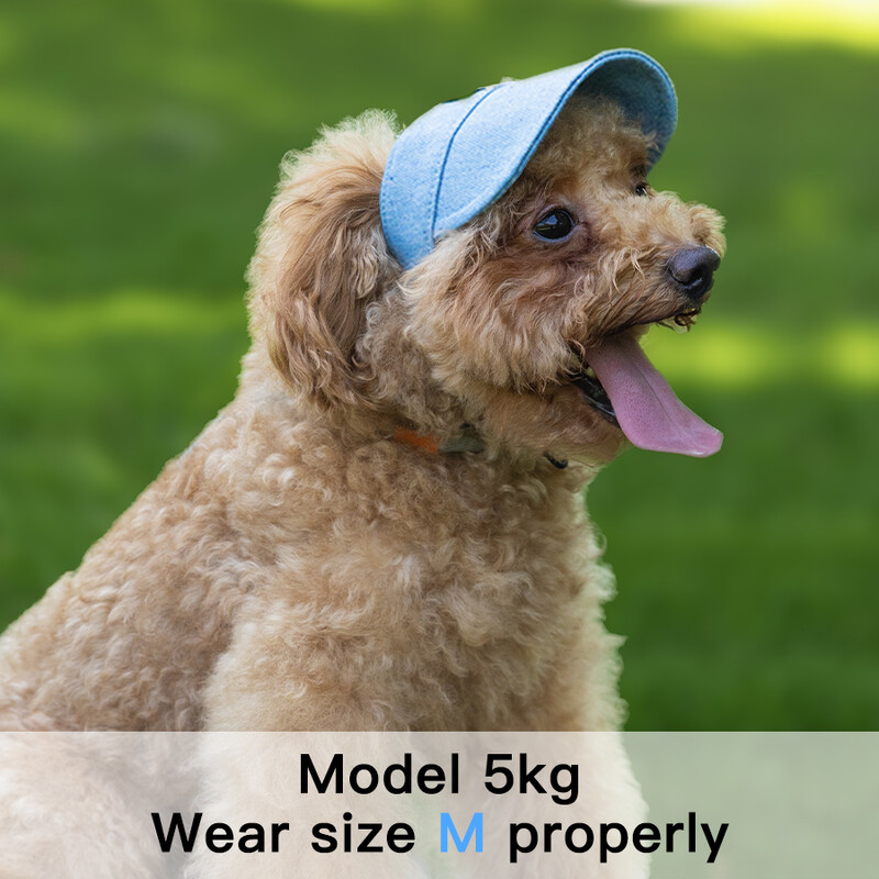 Kimpets kisállat macska kutyatartozékok kirándulni farmer napvédő sapka kisállat fülharmat fényvédő rajzfilm Aranyos fotósapka kisállatkellékek