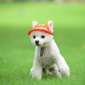 1 kom. Modni šareni prugasti mrežasti šešir za sunčanje, prozračni šešir za štene, šešir princeze, dodaci za kućne ljubimce za hodanje na otvorenom