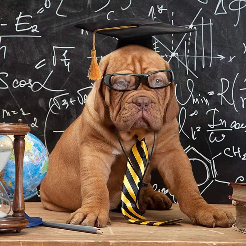 Șapcă pentru câine de companie Cățeluș Dr. Pălărie Șapcă de absolvire pentru câine ciucuri șapcă academică pentru animale de companie Accesorii creative pentru petreceri pentru câini de toate dimensiunile pisici