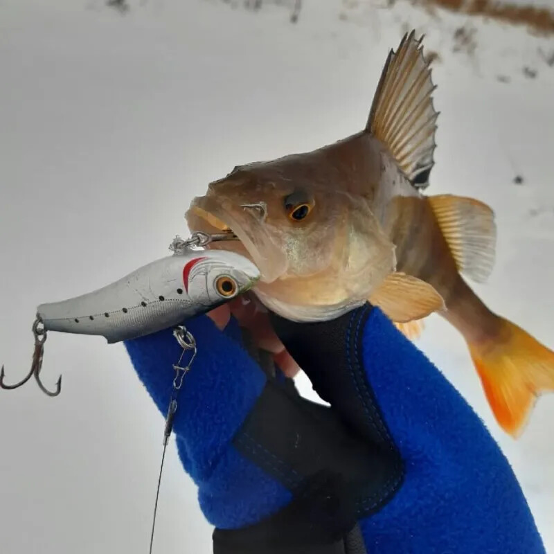 Fangbait VIB Vibration Fishing Lure 23/33g Rattin Artificial Rattlin Bait Bassday Range Vibe Spinning Ribolov Ice Winter Wobbler