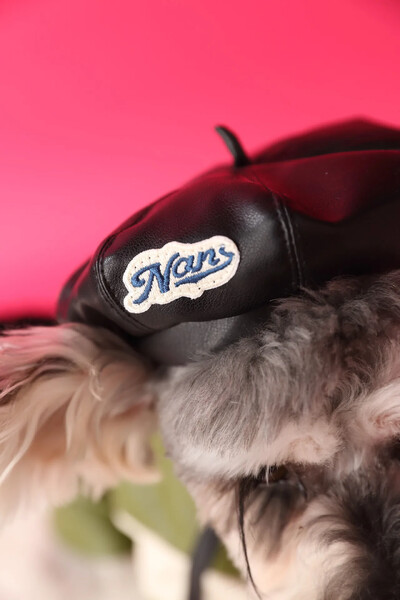 Divat Kutya Bőrkalap Fotó Styling Női Állatkellékek Dekoráció Sütőtök Kalapok Kutya Baseballsapka Kölyök Kiegészítők