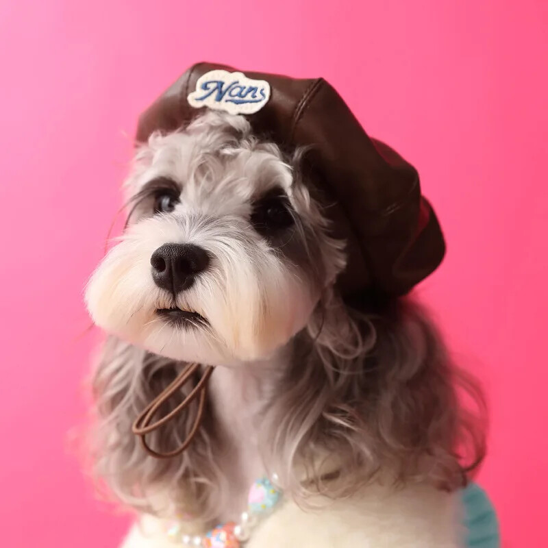 Divat Kutya Bőrkalap Fotó Styling Női Állatkellékek Dekoráció Sütőtök Kalapok Kutya Baseballsapka Kölyök Kiegészítők