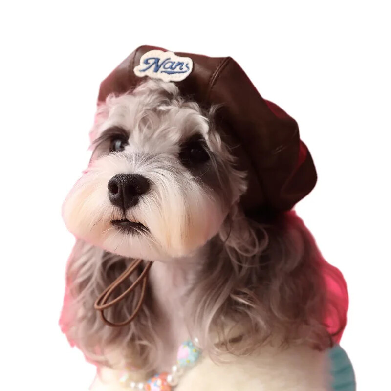 Divat Kutya Bőrkalap Fotó Styling Női Állatkellékek Dekoráció Sütőtök Kalapok Kutya Baseballsapka Kölyök Kiegészítők