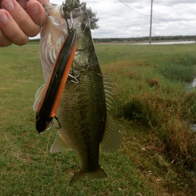 Virszemes zīmuļu makšķerēšanas ēsma 2024 Stickbait Moonwalker Topwater Asturi 126mm 26g peldošs vobleris Heddon Super Spook Walking ēsma