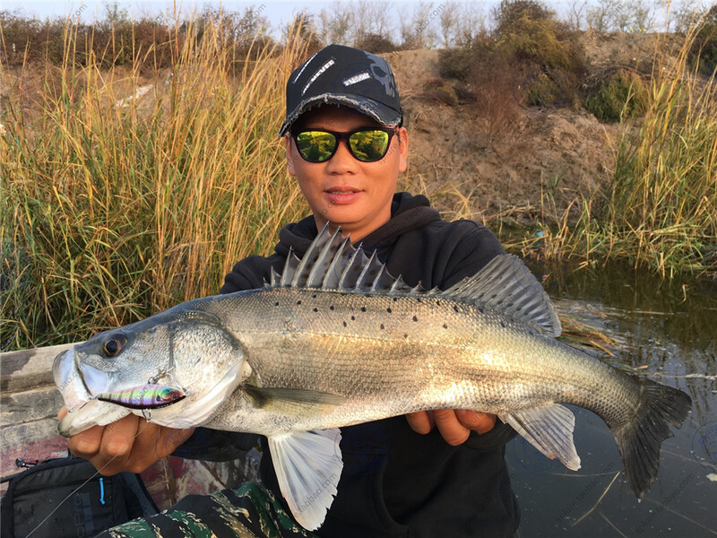 Bone Dash Sink 60-90MM 10-33G Momeală tare Naluci artificiale pentru pescuit Sinking Pencil Vibe Mode pentru apă dulce sau apă sărată