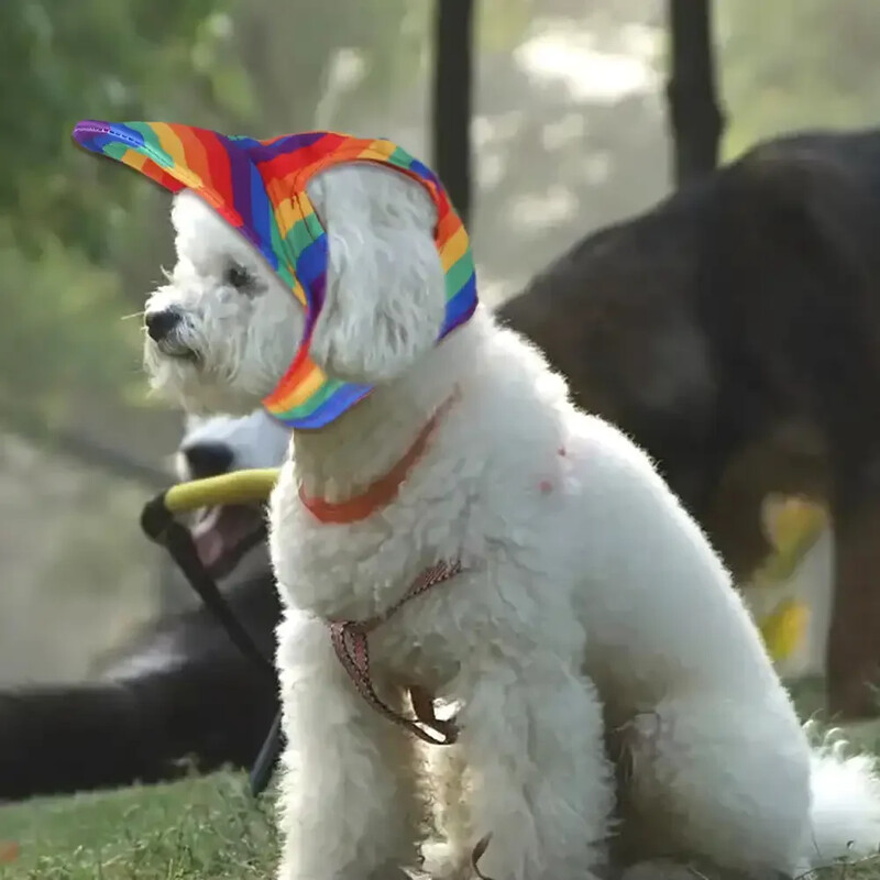 Naminių šunų kepurė nuo saulės Apsauginė kepurė beisbolo kepurė Lauko sportinė kepurė su skylutėmis ausims Reguliuojama naminių gyvūnėlių kepurė Mažų vidutinių šunų šuniukų priedai