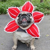 Imádnivaló Halloween házi kedvenc sapka Kényelmes démon élénk kép Állati sapkák jelmeztartozék rögzítőszalaggal Vicces ruha kisállatoknak