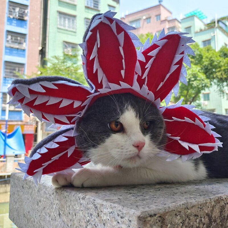 Imádnivaló Halloween házi kedvenc sapka Kényelmes démon élénk kép Állati sapkák jelmeztartozék rögzítőszalaggal Vicces ruha kisállatoknak