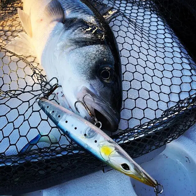 Fangbait topwater pencil lures stickbaits asturi 130 leurre de površinski morski mamac bar 110 mm 130 mm za palamide mamci za brancine