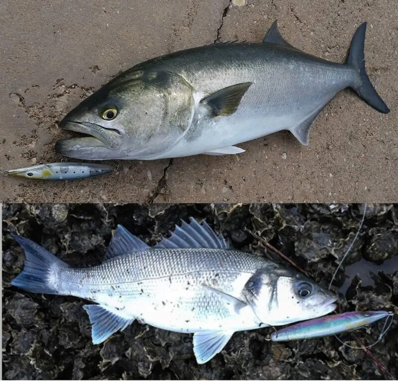 Fangbait topwater pencil lures stickbaits asturi 130 leurre de površinski morski mamac bar 110 mm 130 mm za palamide mamci za brancine