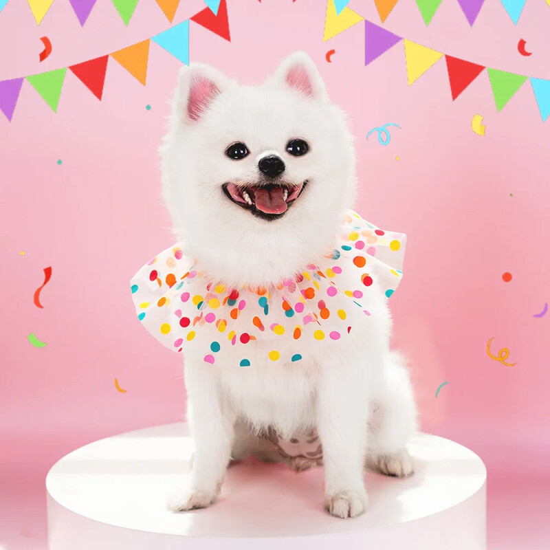 Új kreatív macska és kutya koreai színes pontnyakörv születésnapi kisállat fejfedő víztörülköző kisállat polka csipke lapát születésnapi kellékek