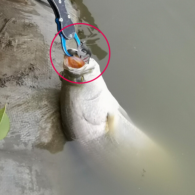 TREHOOK 6 cm / 8 cm / 10 cm Slider Jerkbait skęstantys vobleriai lydekai Crankbait žvejybos masalas, barškėjimas ir vibracija žiemos žvejybos reikmenims