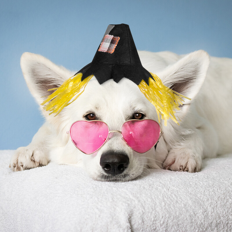 Helovino naminis šuo katė šuniukas kepurė Kalėdų galvos apdangalai kaliausė Juokingas Cosplay Prop