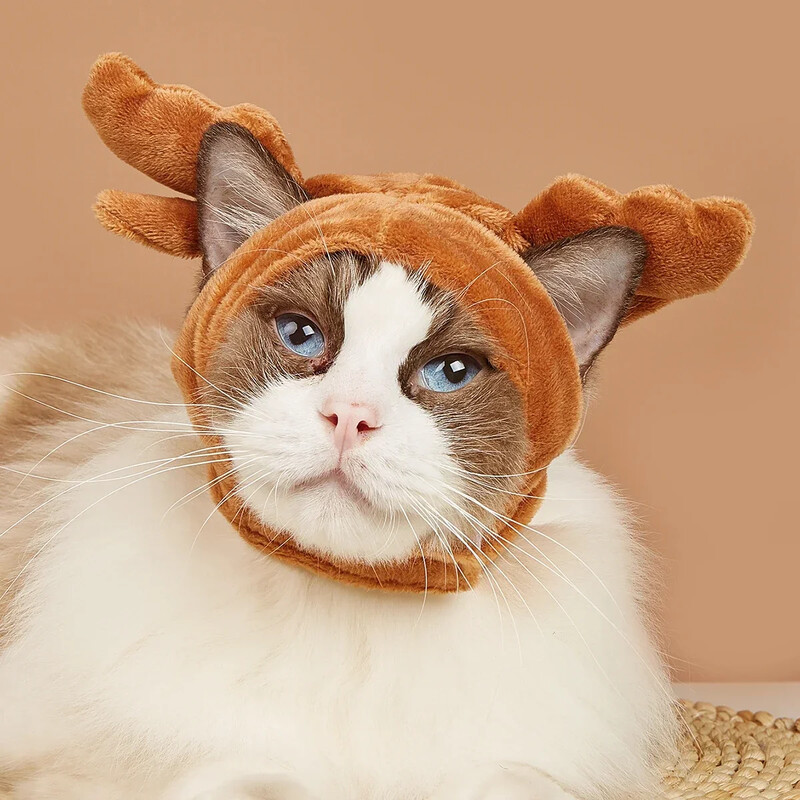 Cosplay parti jelmez kisállatnak, macskacápa fejdísz, kutyaszarvas fejfedő, téli meleg sapka, kölyökkutya öltöztetés, cicaruhák kisállat sapka