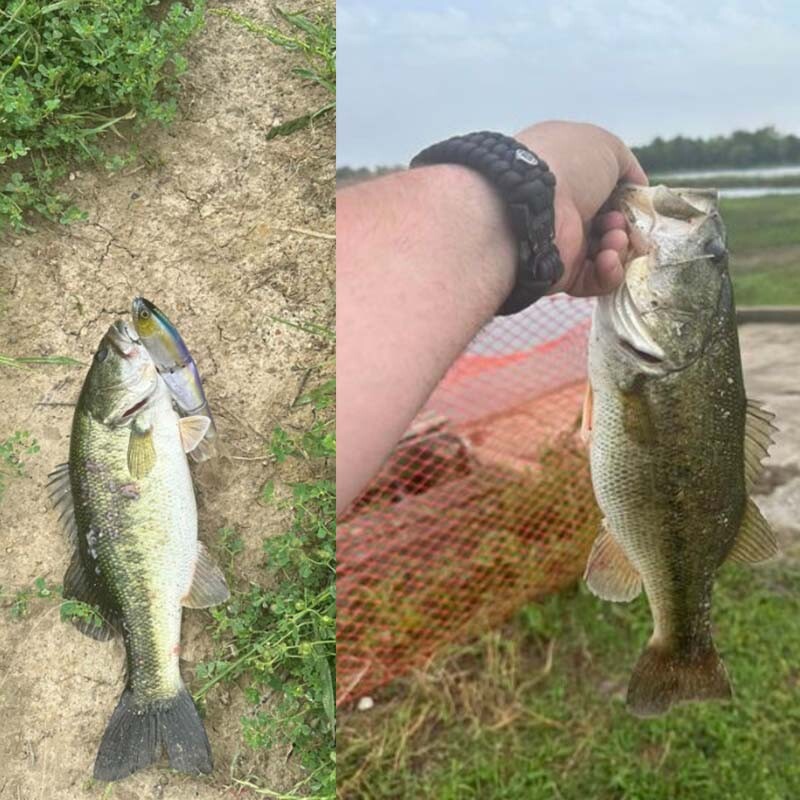 Hunthouse Armajoi Pencil Three Sections Swimbait Exsence Shallow Flash Minnow Floating 140mm 22/25g Tvrdá nástraha na povrchovú vodu, slanú vodu