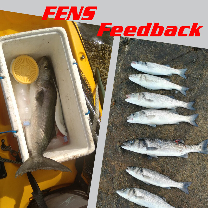 Hunthouse EXSENCE Shallow Assassin Slider Minnow horgászcsali 99mm 15g 99F FLASH Tungsten Weight Slider System úszó csalik