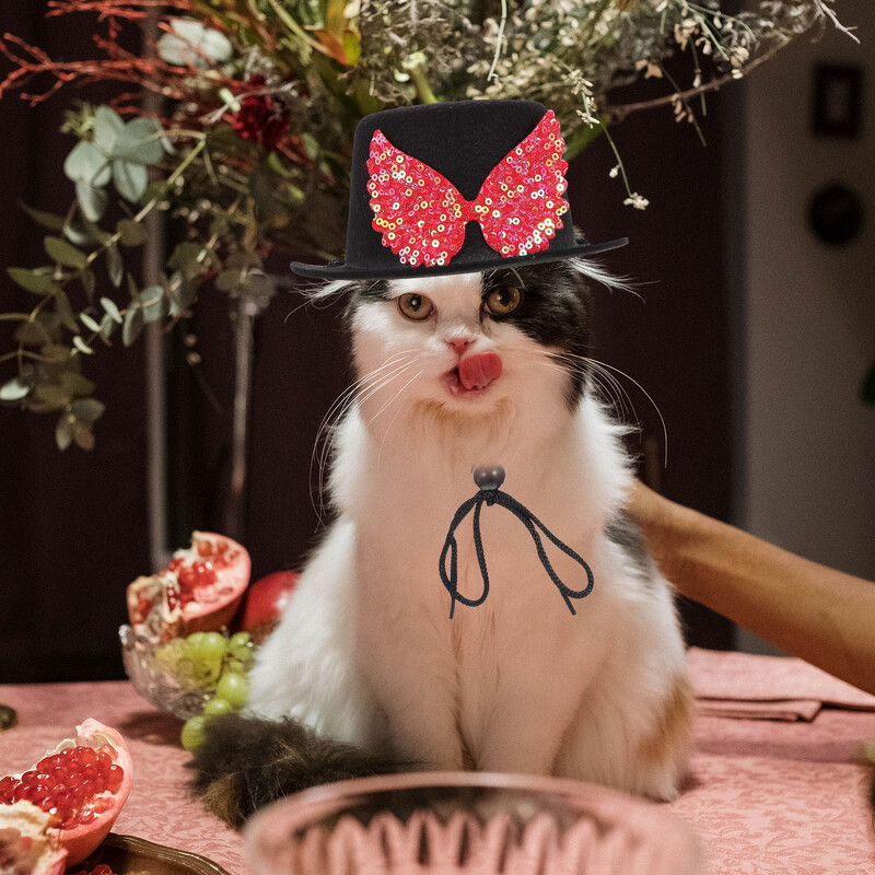 Kisállat kalap Cosplay macska fejfedő állítható cica bowler ruhával kutyaparti fejfedő kalapok