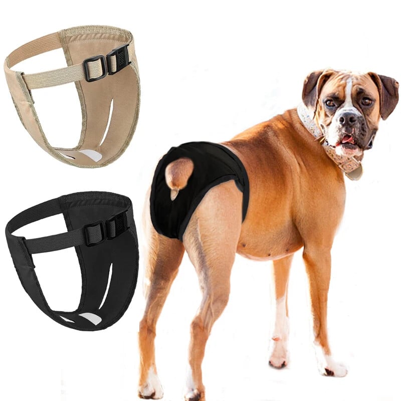 Nohavičky pre psov, nastaviteľné menštruačné hygienické fyziologické nohavičky pre malé, stredne veľké psy