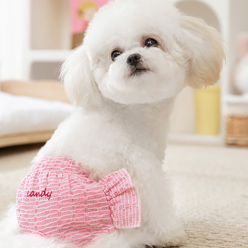 Kölyökkutyás fiziológiai nadrág Aranyos egyszínű pelenka nőstény kutya menstruációs nadrág Teddy Bichon kellemetlen kisállat kellékek