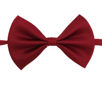 Mosható kutyapelenkák Fiziológiás nadrágok Aranyos rajzfilmnyomat Női kutya rövidnadrág Bugyi Pöttyös masni kiskutya alsónadrág Kisállatruházat