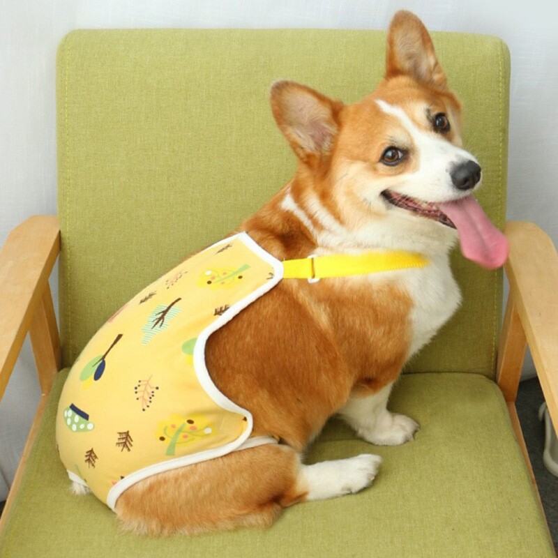 Kratke hlače za pse Pelene Naramenice Fiziološke hlače Perivo donje rublje Pelene Sanitarne gaćice Francuski buldog Mali psi