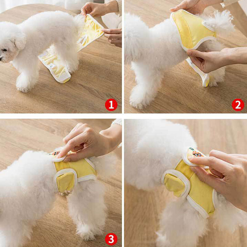 Psi koje se peru Muški psi Fiziološke hlače za prevenciju estrusa Pristojni pojas Menstrualne zaštitne hlače za pse Kućni ljubimci Donje rublje Gaćice